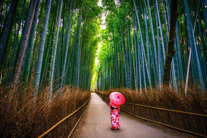 From Kyoto / Osaka: Kyoto Must-see Spots & Nara Park One Day Tour - Price, What You Get, and What Costs Extra