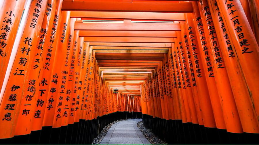 From Osaka/Kyoto: Private Kyoto and Nara Day Trip - Fushimi Inari Taisha: torii gates, photo stops, and spiritual stamina