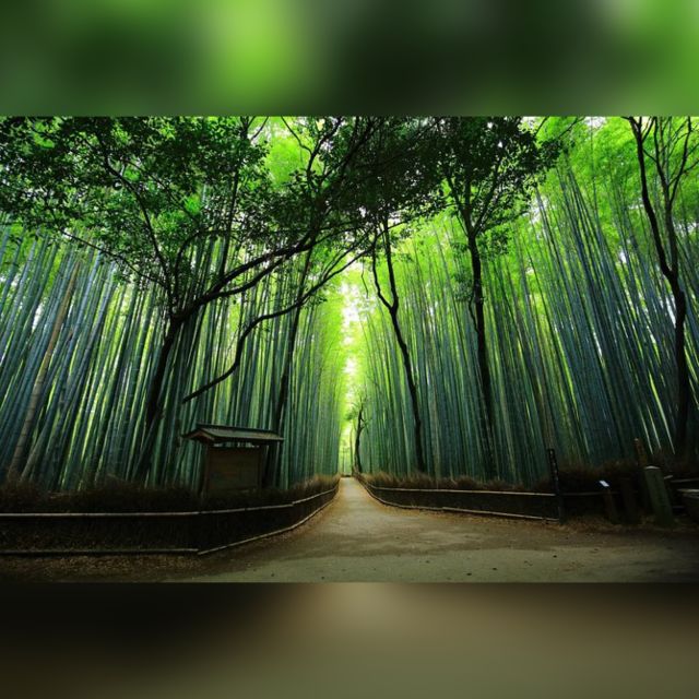From Osaka/Kyoto: Private Kyoto & Nara Day Trip with Pickup - Private Kyoto & Nara: what “10 hours” really means