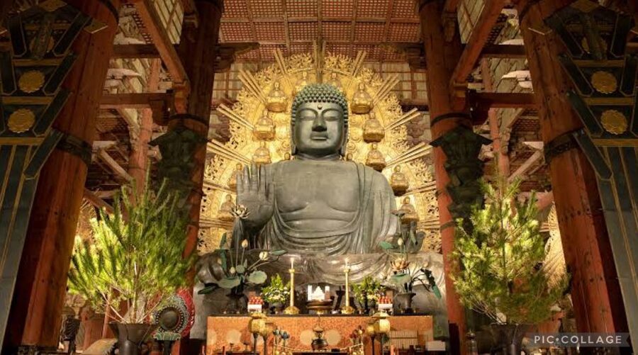 From Osaka/Kyoto: Private Kyoto & Nara Day Trip with Pickup - Arashiyama Bamboo Forest and Togetsukyo: turning a cliché into a real moment