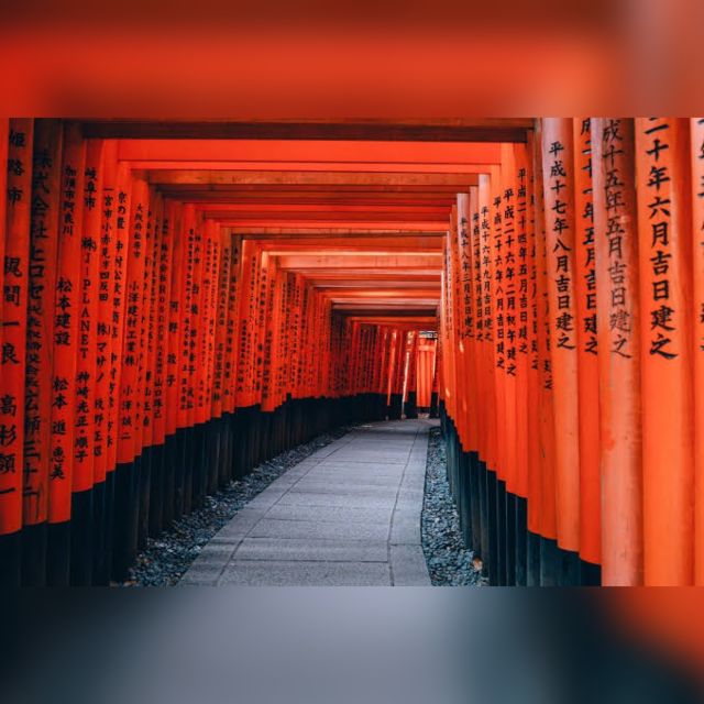 From Osaka/Kyoto: Private Kyoto & Nara Day Trip with Pickup - Nara Park and Tōdai-ji: deer encounters and the Great Buddha Hall