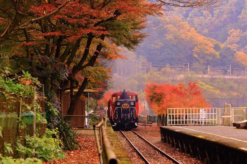 From Osaka: Sagano Train Ride and Kyoto Guided Day Tour - Why This Day Tour Works So Well