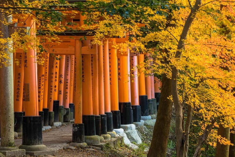 From Osaka: Sagano Train Ride and Kyoto Guided Day Tour - The Highlights That Most People Rave About