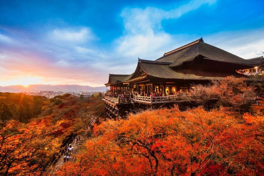From Osaka: Sagano Train Ride and Kyoto Guided Day Tour - Price and Value: Is $66 Worth It?