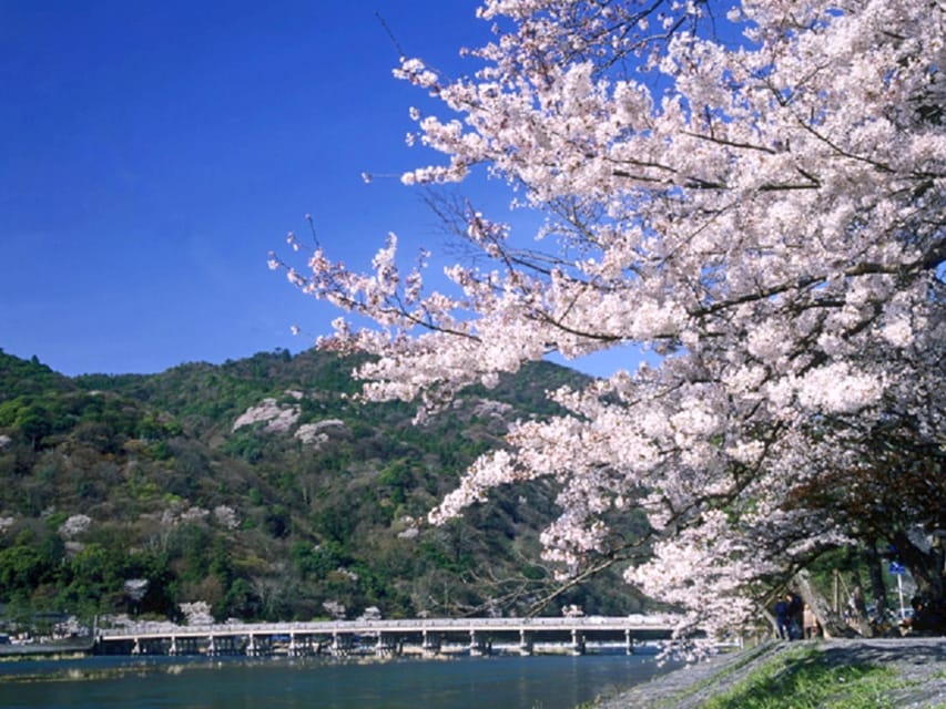 From Osaka: Sagano Train Ride and Kyoto Guided Day Tour - Osaka Departure to Kyoto: Getting There Without the Headache