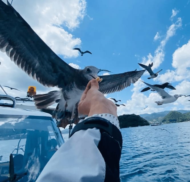 FromOsaka/Kyoto:Hiroshima & Miyajima Private Tour with Lunch - Key highlights at a glance