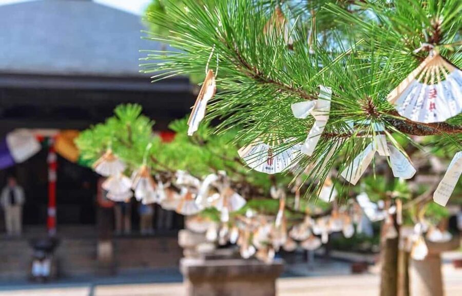 FromOsaka/Kyoto:Hiroshima & Miyajima Private Tour with Lunch - Ferry to Miyajima and the island rhythm you can actually enjoy