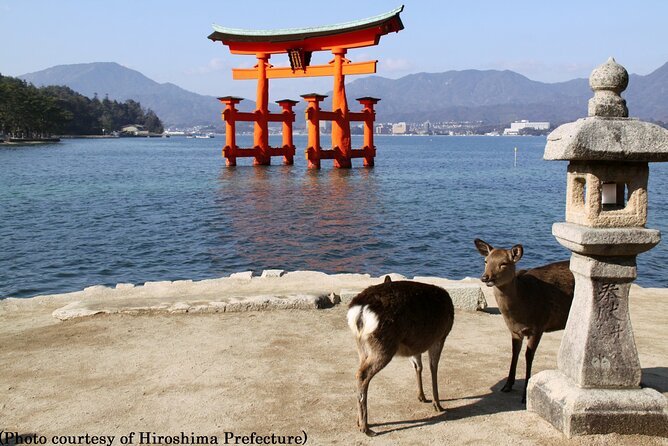 Full Day Hiroshima and Miyajima Tour by Bullet Train from Kyoto - Kyoto to Hiroshima by Shinkansen: the easiest way to do a long day