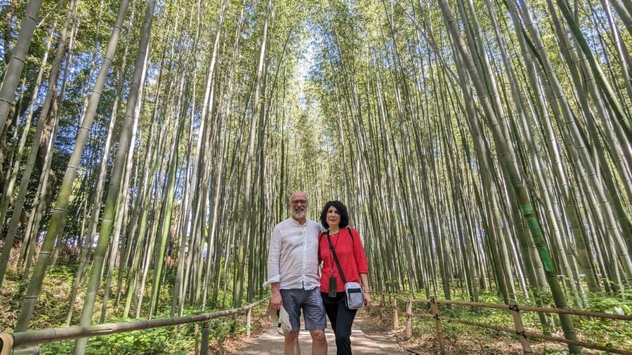 Full-Day Kyoto Walking Tour: Most Iconic Landmarks & Monkeys - Starting at Kitsunezo: The Fox-Statue Meeting Point