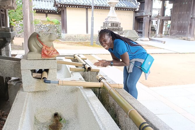 Full-Day Sightseeing to Kyoto Highlights - 8:30am start at Kyoto Tower area, then trains to your first neighborhood
