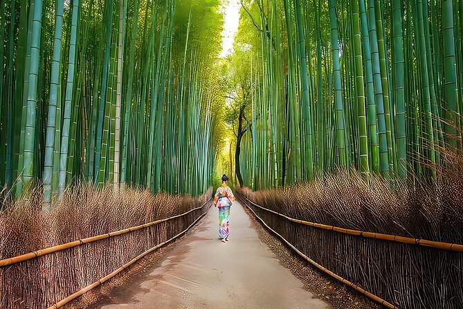 Fushimi Inari - Arashiyama: Torii Gates, Bamboo, Monkeys & Secret - The Day’s Timing: 9:00 Start, 5–6 Hours, and How to Prepare
