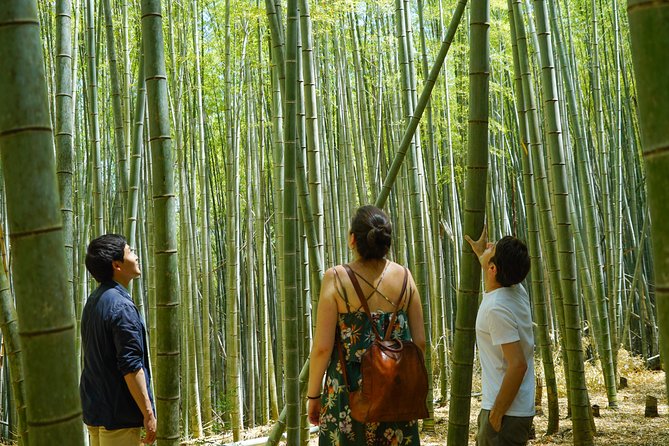 Fushimi Inari Hidden Hiking Tour (Private Option Available) - Why this “back-side” Fushimi Inari route feels so different