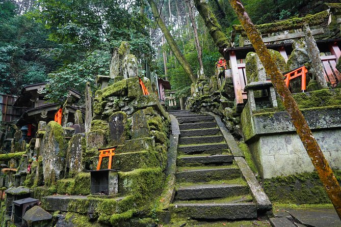 Fushimi Inari Hidden Hiking Tour (Private Option Available) - What 3 hours feels like in real life (distance, pace, and stops)