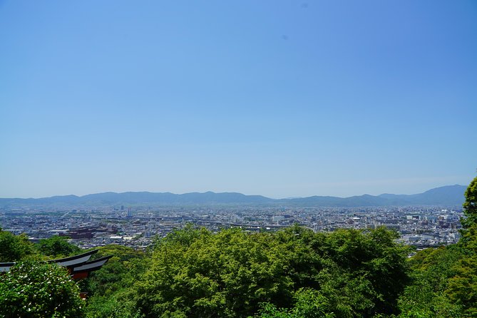 Fushimi Inari Hidden Hiking Tour (Private Option Available) - Your guide experience: small-group attention and photo help