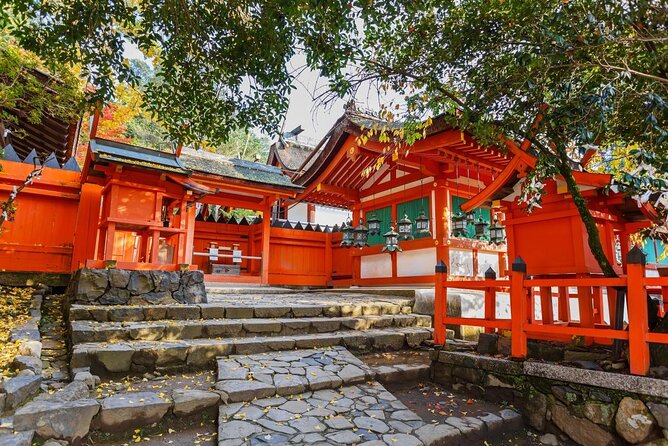 Fushimi Inari & Nara Highlights Walking Tour - Key things I’d plan for