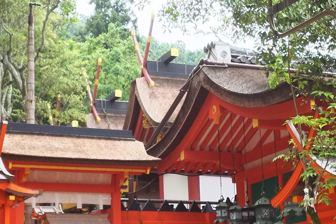 Fushimi Inari & Nara Highlights Walking Tour - Kasuga Grand Shrine: lanterns, color, and the Nara mood