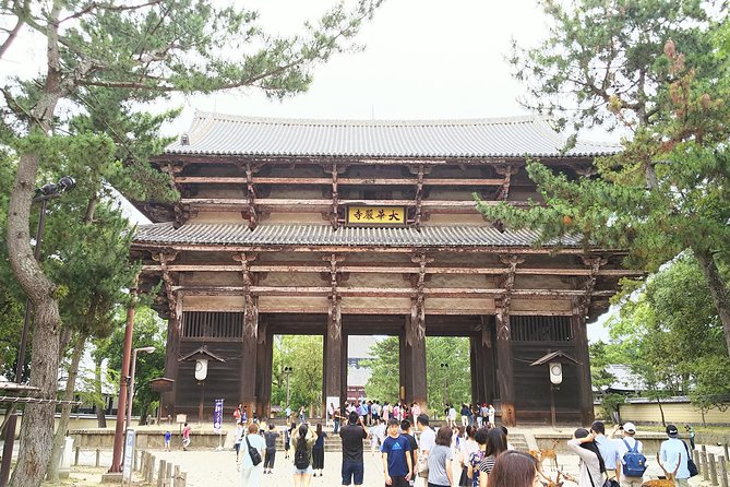 Fushimi Inari & Nara Highlights Walking Tour - Price and logistics: what you pay vs. what you still pay