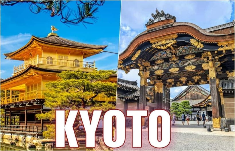 Golden Pavilion, Nijo Castle, & Nishiki Market Half day tour - Quick hits: what makes this tour work
