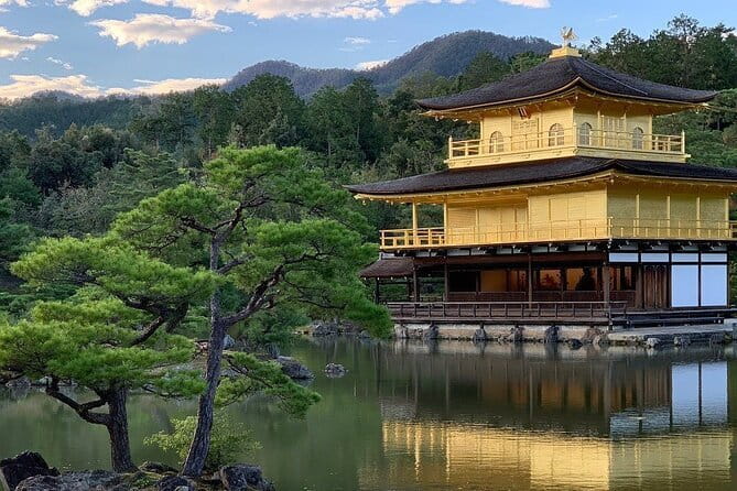 Guided Kyoto City Cherry Blossom One Day Private Tour - Why This Private Kyoto Cherry Blossom Day Works So Well