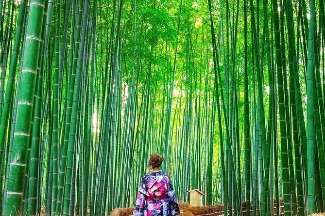 Guided Kyoto City Cherry Blossom One Day Private Tour - Kiyomizu-dera: The Pure Water Temple and Its Otowa Waterfall Meaning