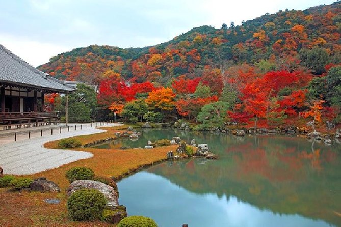 Half Day Kyoto Sagano Bamboo Grove & Arashiyama Walking Tour - Why Sagano feels calmer than central Kyoto