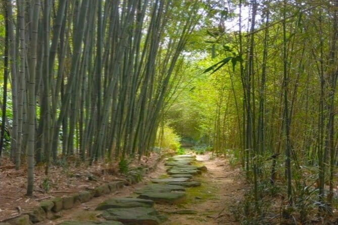 Hidden Bamboo gem and Japanese foods in Izakaya Private Tour - A Quiet Bamboo Walk With River Spectacle Built In