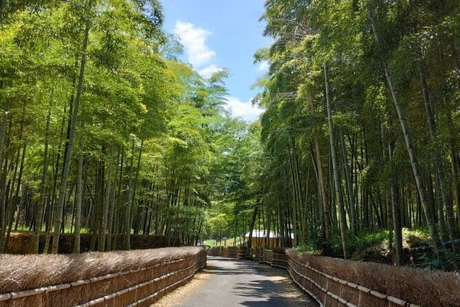 Hidden Bamboo gem and Japanese foods in Izakaya Private Tour - The Bamboo Path Portion (13:30–16:30): Peaceful Footsteps, Not a Hurry Trip