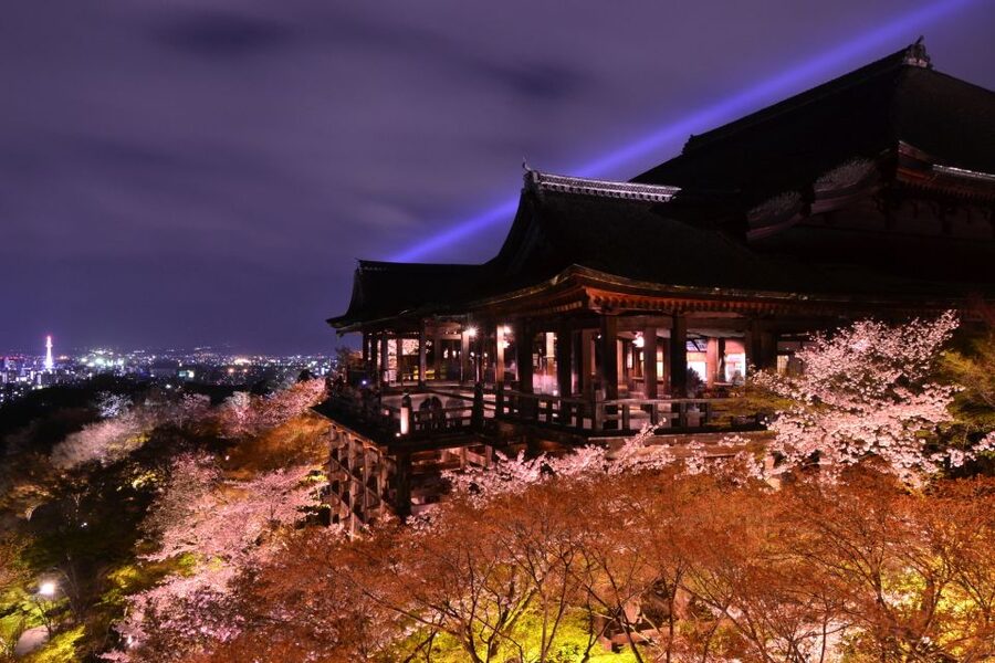 Higashiyama | Kyoto: Sakura Season Private Rickshaw Tour - Key Takeaways