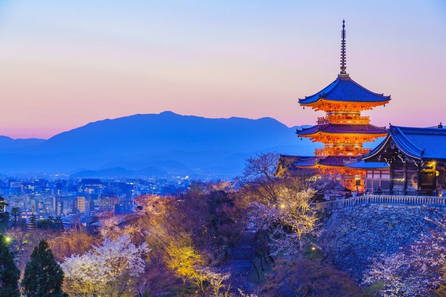 Higashiyama | Kyoto: Sakura Season Private Rickshaw Tour - Comfort, Group Size, and Practical Rules (Read This Part)