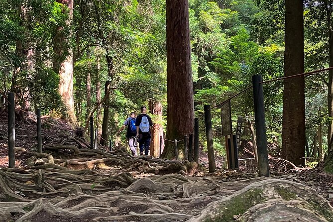 Hike and explore the Kurama and Kibune ancient Paths - Kyoto Station to the Mountain: how the day actually starts (and why it’s worth it)
