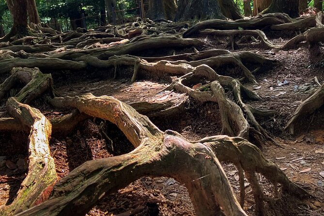 Hike and explore the Kurama and Kibune ancient Paths - Fitness, pace, and who this is best for