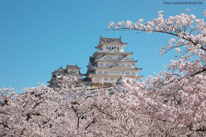Himeji Castle and Akashi Kaikyo Bridge Walking Tour from Kyoto - Price and value: what $252.90 actually buys you