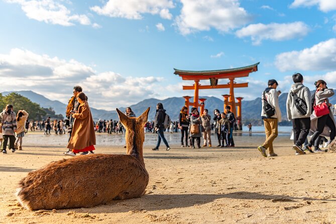 Hiroshima and Miyajima Full-Day Tour from Kyoto by Bullet Train - Kyoto to Hiroshima by Shinkansen: the time-saver that shapes the whole day