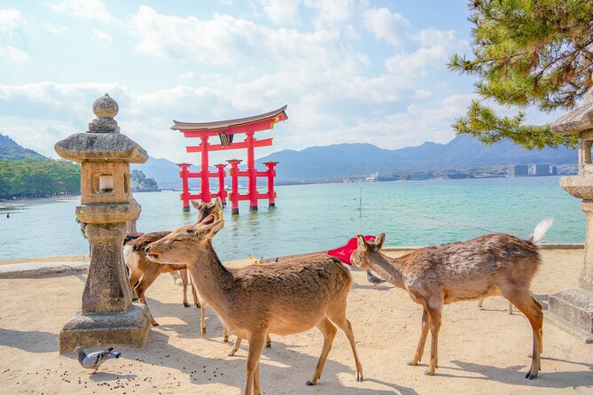 Hiroshima and Miyajima Full-Day Tour from Kyoto by Bullet Train - Hiroshima Station and the walk toward the Peace Memorial Park