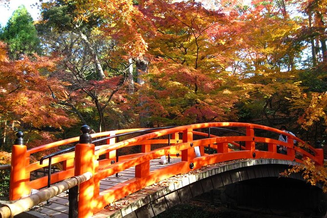 Historical Kyoto E-Bike Tour - Stop 2: Kinkaku-Ji and the golden pond view