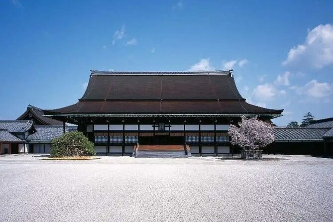 Historical Kyoto E-Bike Tour - Stop 3: Arashiyama Bamboo Forest Trail and the photo effect