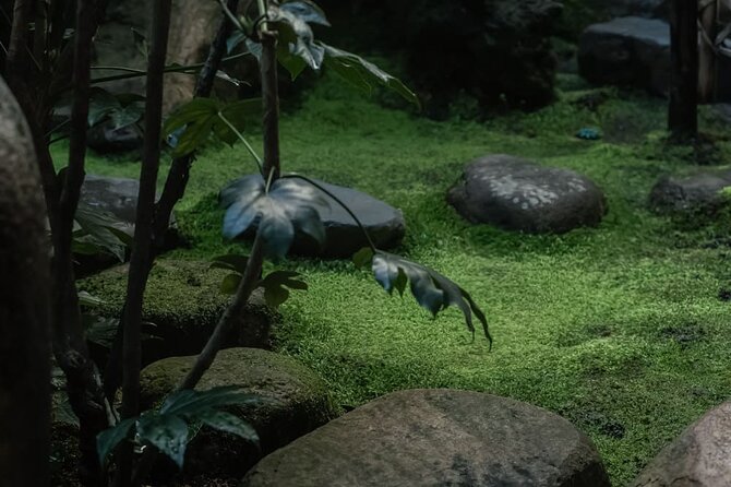Kimono Tea Ceremony at Kyoto Maikoya, Karasuma Shijo - Kimono + matcha in one focused 90 minutes