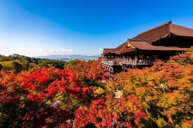 Kiyomizu Temple and Backstreets of Gion, Half Day Group Tour - Key things you’ll like about this Kiyomizu-and-Gion walk