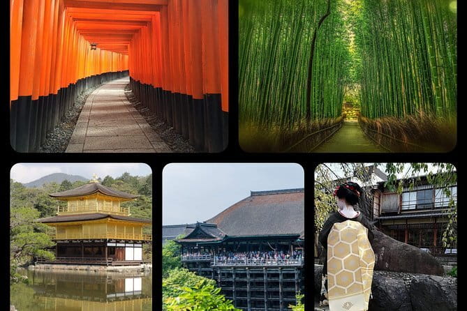 KIYOTO’s Kyoto Private Tour: Highlights & Hidden Gems - Nishiki Market lunch break: where you feed the day (and keep your energy)