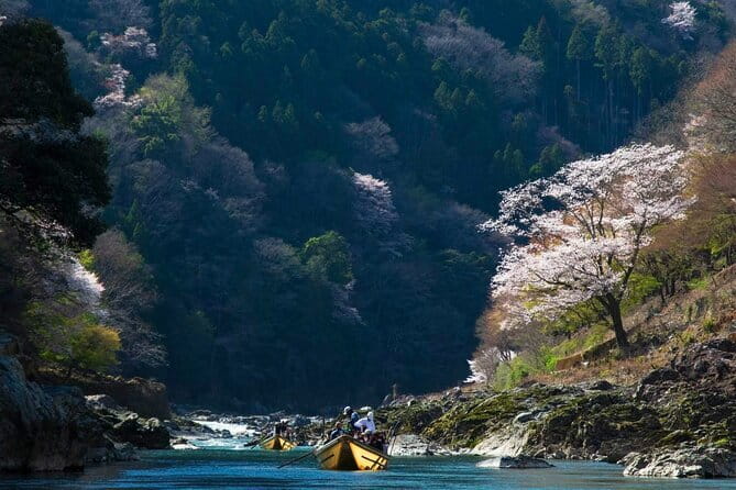 Kyoto 1 Day Suntory Yamazaki Distillery Tour and Asahi Art Museum - Price and value: what you pay for in real terms
