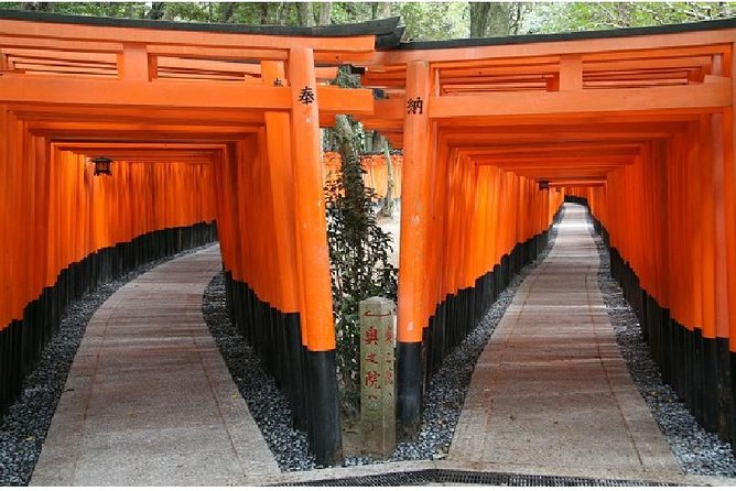 Kyoto 1 Day Tour from Kyoto - Lunch Options, Solo Time, and What to Wear for a 9-Hour Day