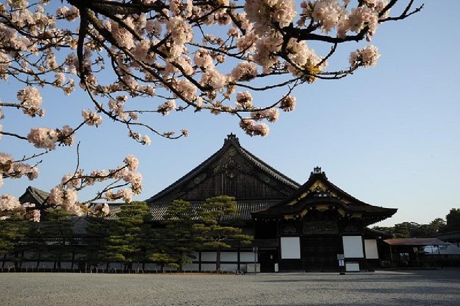 Kyoto 1 Day Tour from Kyoto - Guide Quality and Group Pace: How to Set Your Expectations