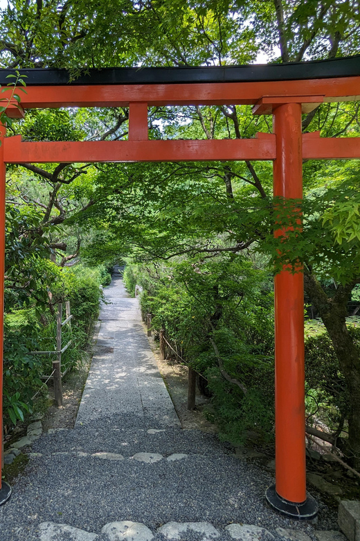 Kyoto: 100% Private Custom Walking Tour (4/8 Hrs) - Why a private, custom Kyoto walk is worth the money