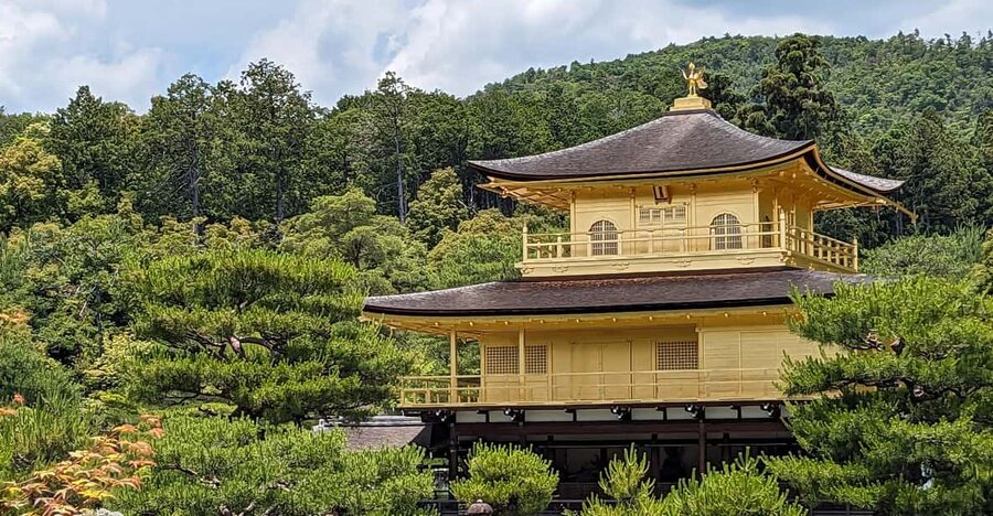 Kyoto: 100% Private Custom Walking Tour (4/8 Hrs) - Meeting up smoothly: pickup, yellow sign, and flexible start times