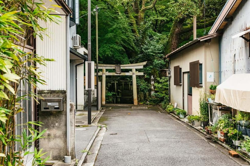 Kyoto: 3-Hour Fushimi Inari Shrine Hidden Hiking Tour - Viewpoints and torii etiquette: better photos, better manners
