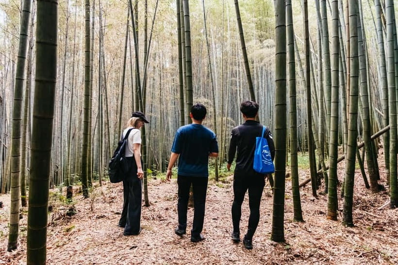 Kyoto: 3-Hour Fushimi Inari Shrine Hidden Hiking Tour - Coming down through forest paths and a second bamboo grove