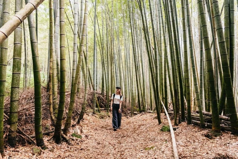 Kyoto: 3-Hour Fushimi Inari Shrine Hidden Hiking Tour - Tofukuji Temple: a calm warm-up before the forest