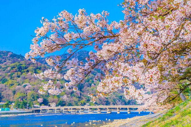 Kyoto 6hr Instagram Highlights Private Tour with Licensed Guide - Yasaka Shrine and the Yasaka Pagoda story in the Higashiyama area