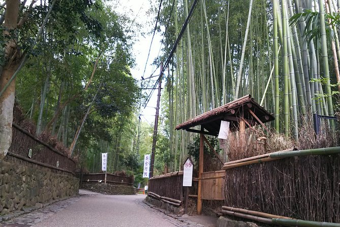 Kyoto and Nara 2-Day Tour: Golden Pavilion, Todaiji, Deer Park - Two Capitals in 48 Hours: Why This Kyoto-to-Nara Plan Works