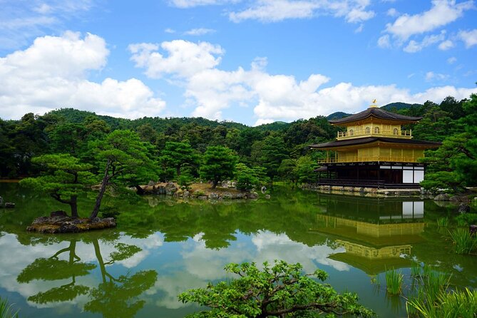 Kyoto and Nara Day Tour from Kyoto - Arashiyama Bamboo Grove: give yourself space to wander